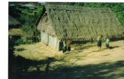 Thatched house in a village